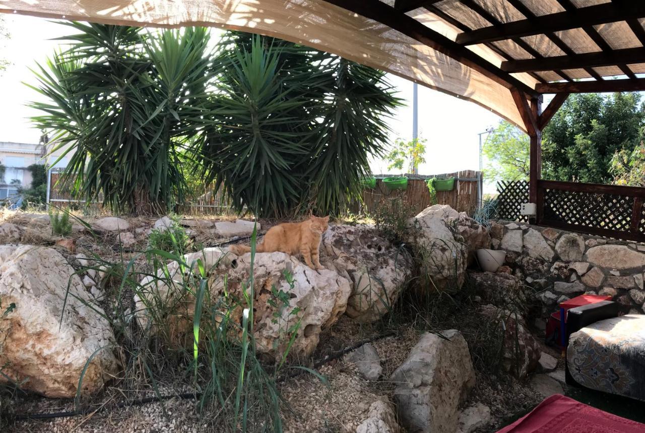 Panorama Kinneret נוף כנרת, צפת Exteriör bild